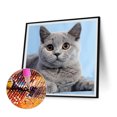 thumbnail image 3 of Cuadros Decorativos Kit de dibujo de gatos serie 5D DIY Kit de dibujo Ehuebsd de taladro redondo completo mosaico de diamantes imagen artesanal decoración de entrada del dormito, 3 of 8
