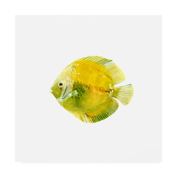 Trademark Fine Art 'Discus Fish I' Canvas Art by Emma Scarvey