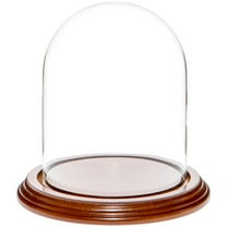 Plymor 4.5" x 6" Glass Display Dome Cloche (Walnut Veneer Base)