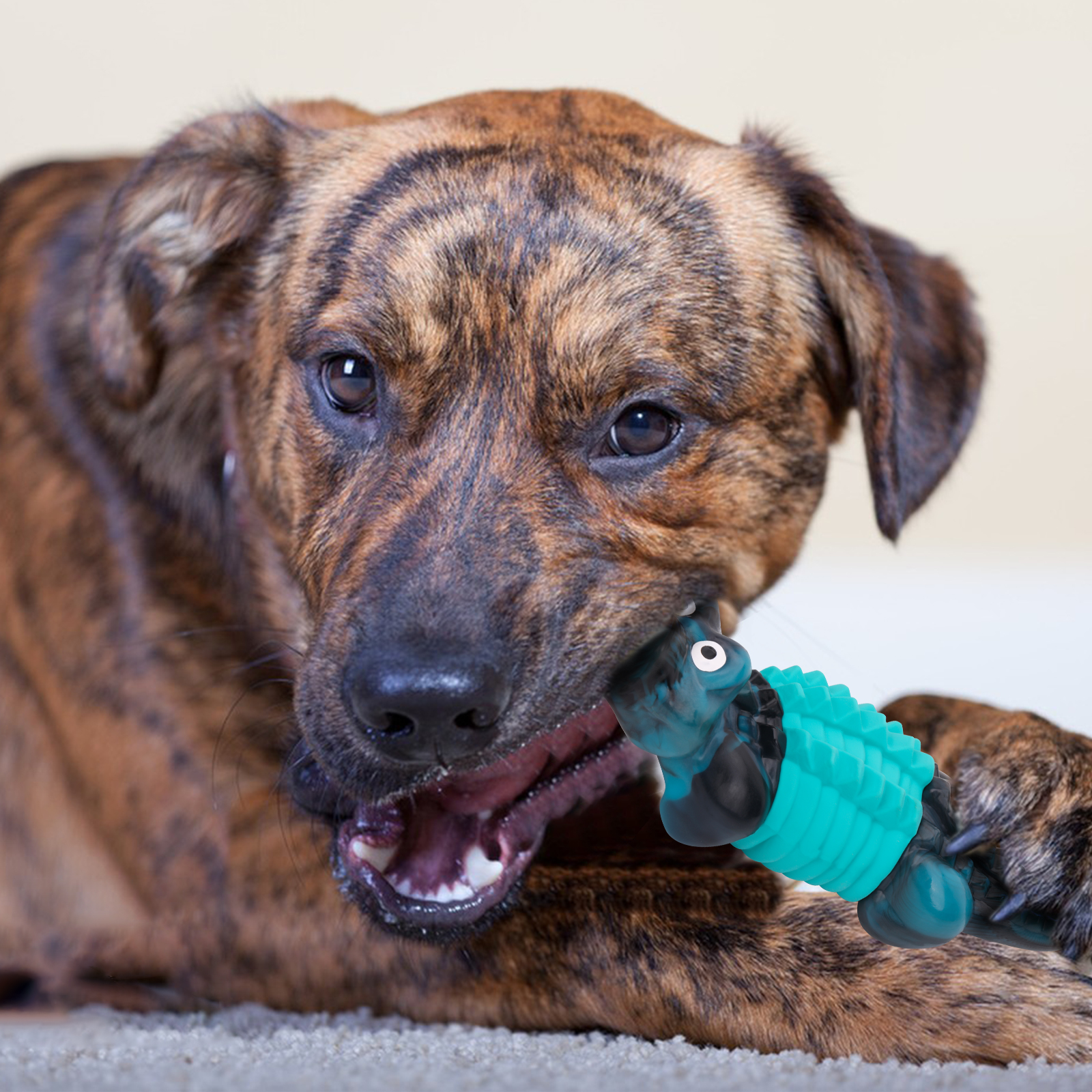 Aelflane Crocodile Chew Toy for Large Dogs, Blue photo 2