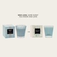 thumbnail image 2 of Candle NEST New York Driftwood y manzanilla, 240 ml, con 60 horas de combustión, 2 of 7