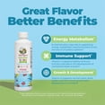 thumbnail image 3 of (2 pack) MaryRuth's Kids Multivitamin Liposomal, Immune Support, Overall Health, USDA Organic, Vegan, Sugar-Free, Ages 4+, 15.22 fl oz, 3 of 11