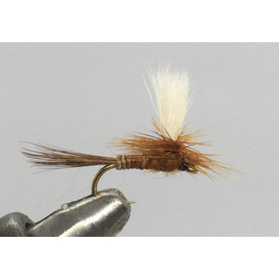 One Dozen (12) - Rusty Parachute Adams - Dry Fly