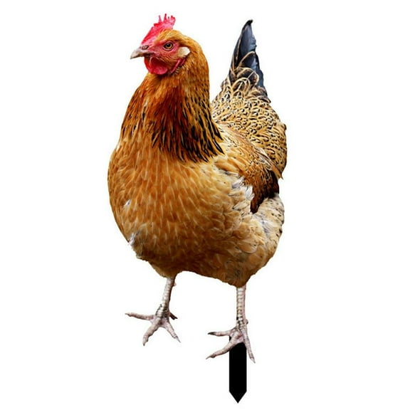 Ksruee Chicken Garden Decor 2D Acrylic Hen Chicken Statue Realistic Chicken Sculptures for Farm Garden Patio Lawn Yard Decorations liberal
