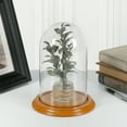 thumbnail image 2 of Plymor 4.5" x 8" Glass Display Dome Cloche (Oak Veneer Base), 2 of 2