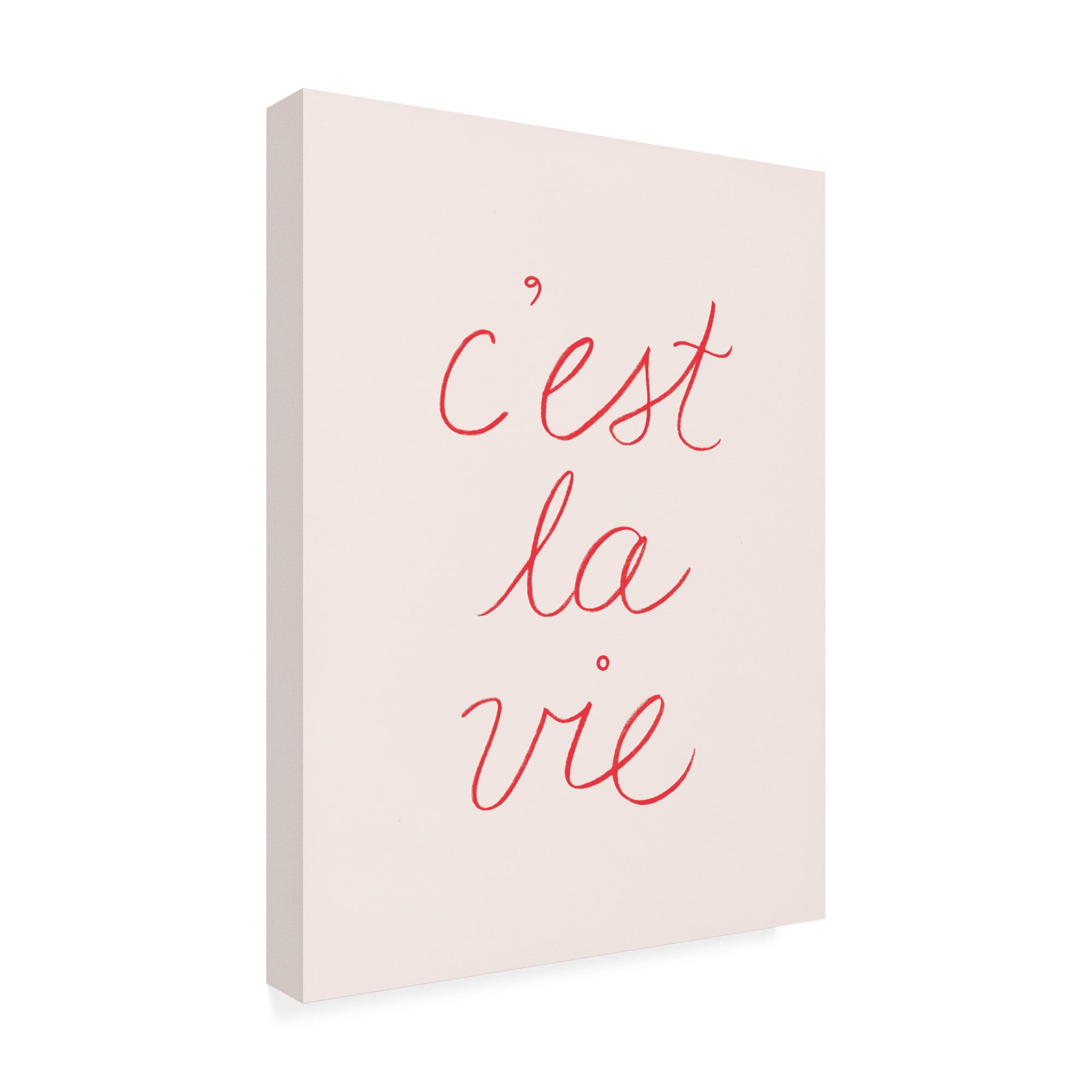 Trademark Fine Art 'En France I' Canvas Art by Victoria Borges