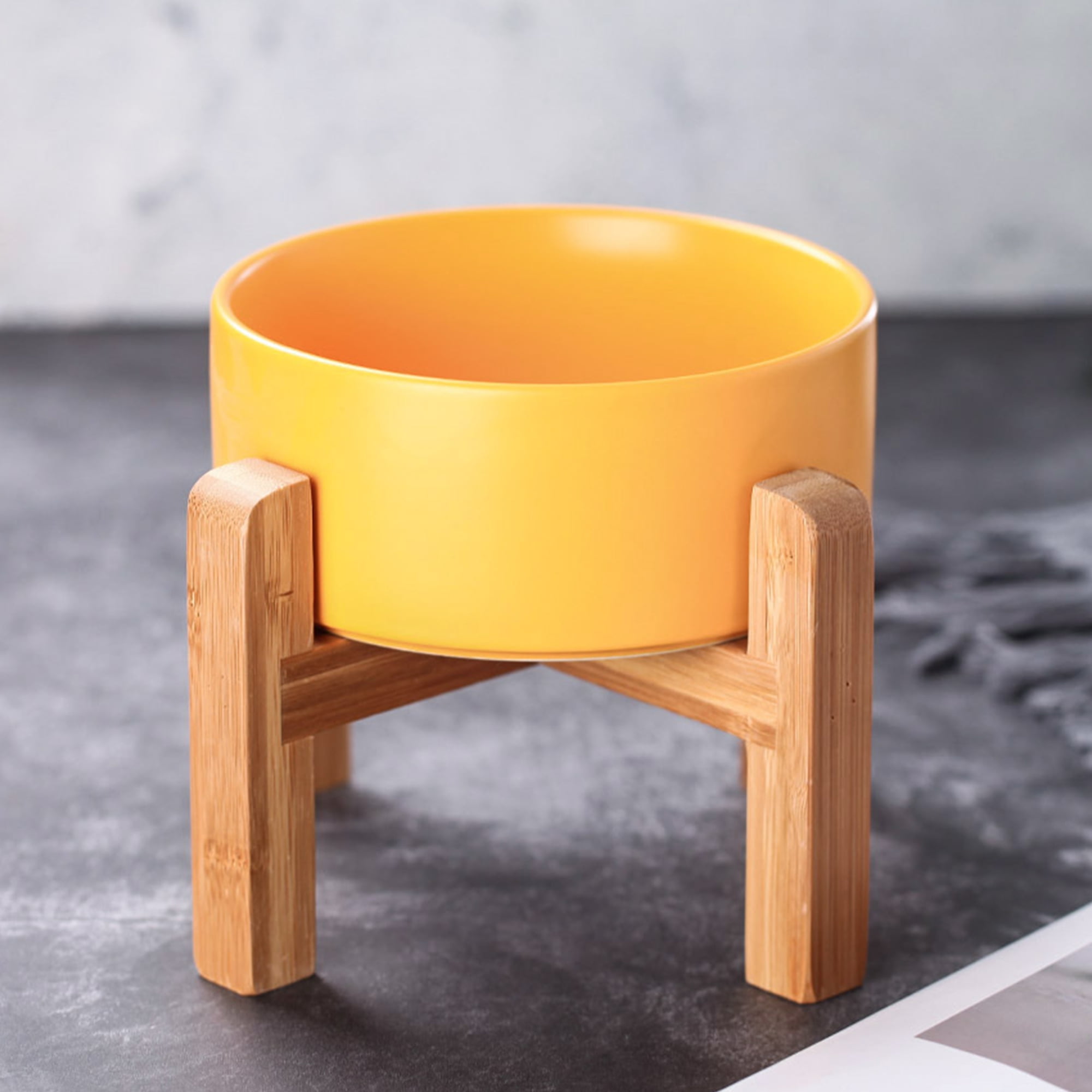 Raised Dog Bowl with Stand Elevated Feeder Ceramic Dog Food Bowl