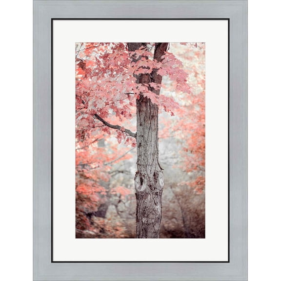 Great Art Now Pink and Coral Maple Tree by Brooke T. Ryan, Framed Wall Art, 21.5W x 28.25H