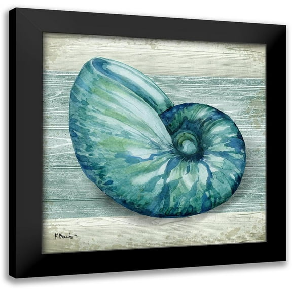 Brent, Paul 12x12 Black Modern Framed Museum Art Print Titled - Northpoint Shells III