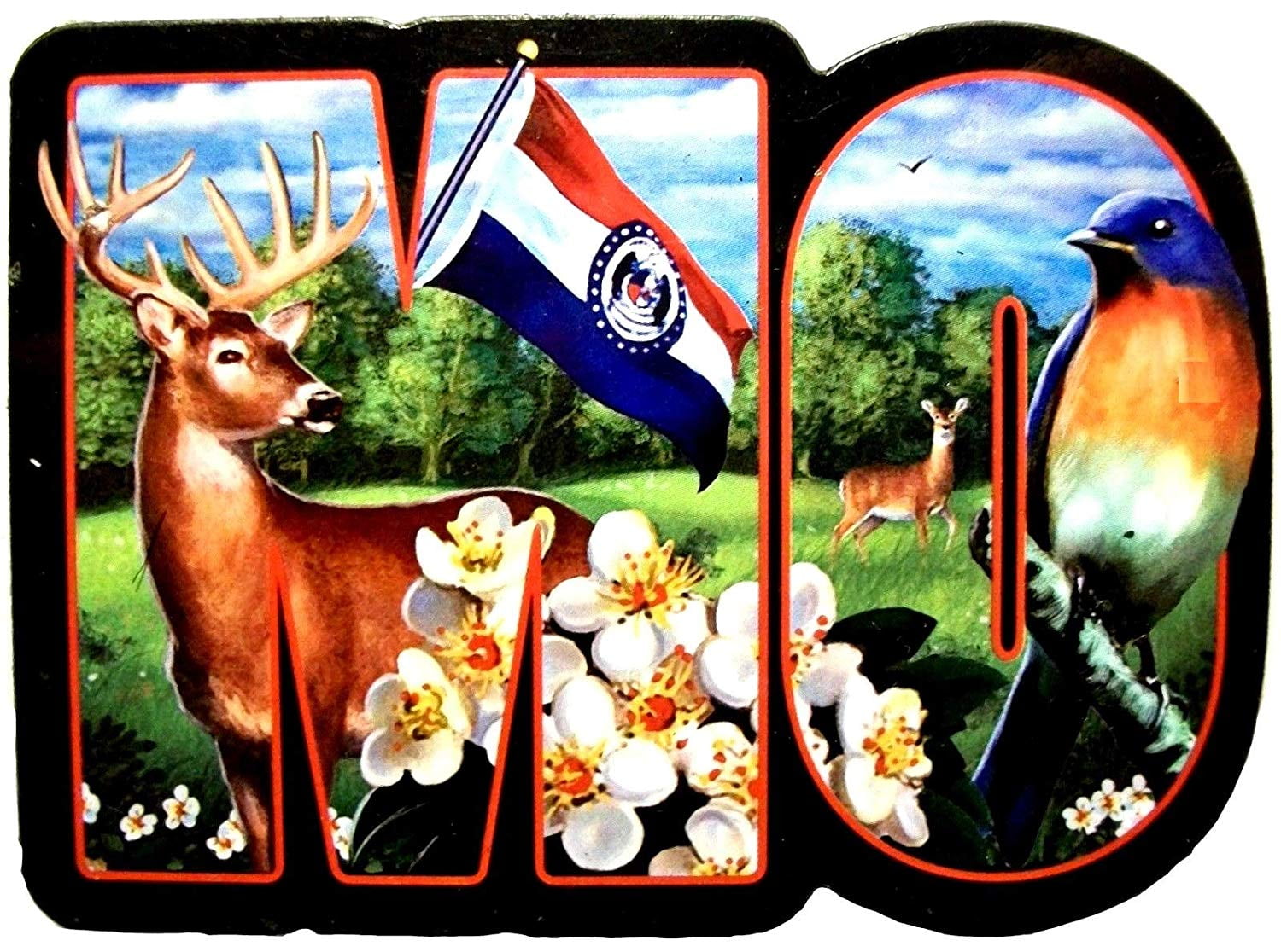 Missouri the show me state artwood initial fridge magnet walmart