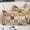 Chocolate, Caramel, Cream, Chestnut, variant on Flowers Patchwork Queen Size Pillow Cover, Pillowcase Protectors with Zipper, Breathable Decorative Throw Pillow Case Cover, Brown Farmhouse Country Plaid Pillow Shams for Couch Sofa 20x30Inch