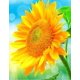 thumbnail image 3 of Funda para teclado Magic Touchpad para iPad Mini 6 10,2 7th 8th 9th 10,5 Air 3 4 5 10th 10,9 Pro 11 12,9 2018-2022 español portugués, 3 of 5