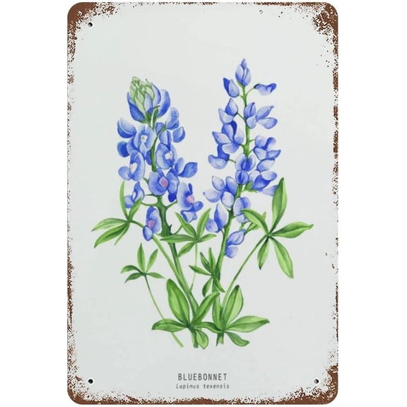 VIOFLOW Vintage Metal Tin Sign Bluebonnet Print Home Decor Funny Novelty Kitchen Bar Club Garage Garden Farm Wall Art Tin Signs 8X12 Inches