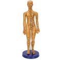 thumbnail image 2 of Modelo de Acupuntura del Cuerpo Humano, Letras Claras, Diseño Estable Para Enseñanza, Acupuntura, Masaje, Con Base y Soporte Grandes, Material de PVC, Color Cobre, Acupuntura, 2 of 7