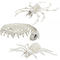 thumbnail image 4 of Halloween Decorations Animal Skeleton & Skull Realistic Bones Scary Party Props-Spider, 4 of 6
