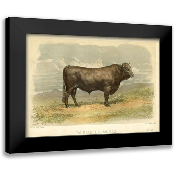 Bonheur, I. 14x11 Black Modern Framed Museum Art Print Titled - Taureau De Salers