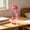 Pink, variant on Horivan 550ml Plastic Water Bottle, Wide Mouth Drinking Cup, Leak-Proof Lid with Spout, Lightweight Sports Bottle, Portable