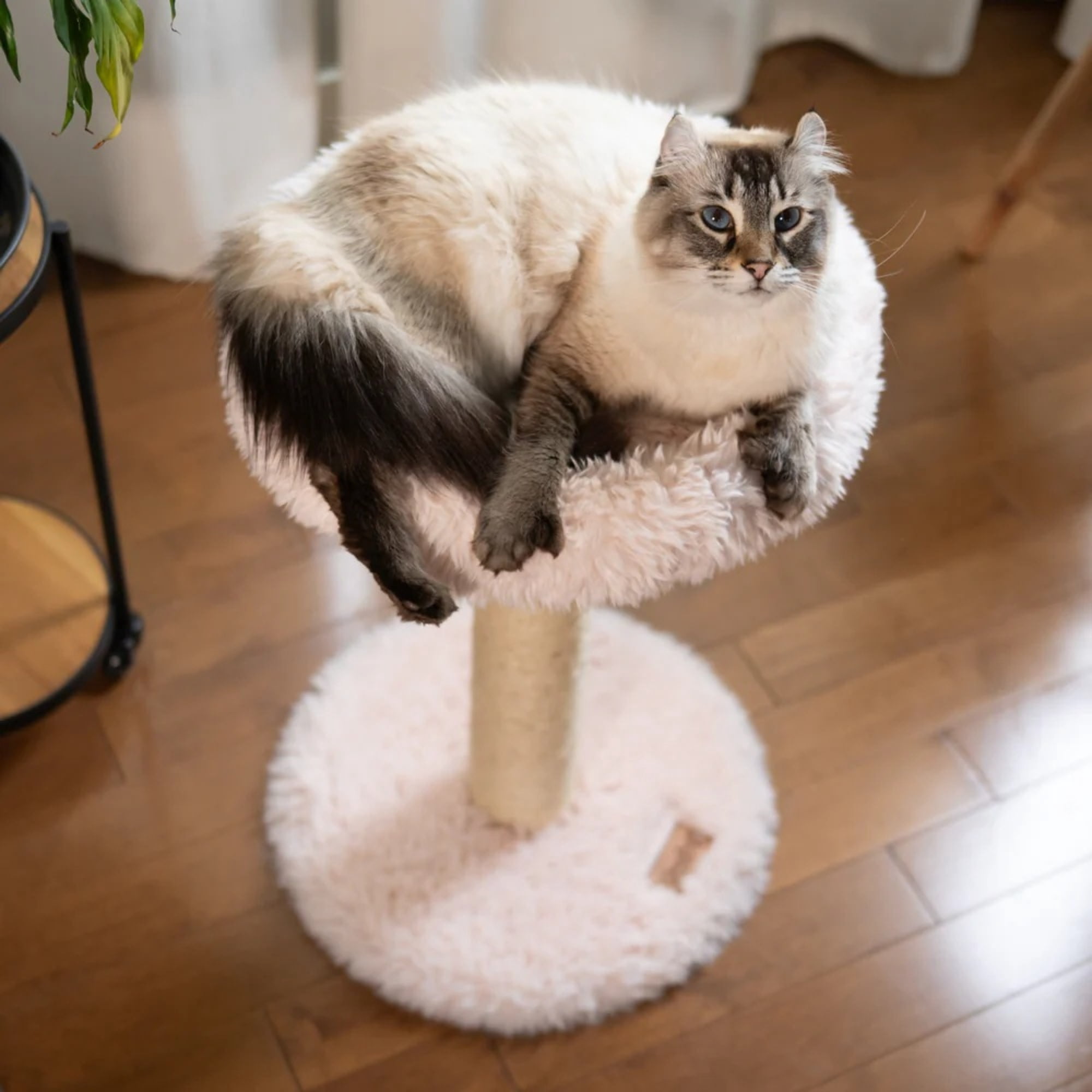 Noba: Classic Cat Tree - Blush Dusty Pink - 1-Level Round Perch, Cozy Faux Fur, Scratchable Rope Post, Climb-Play-Sleep, Animal Pet Lounge, 16 x 24"
