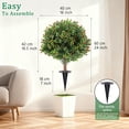 thumbnail image 4 of Red Artificial Boxwood Planting Trees Planteds In The Ground Suitable For Outdoor Garden Landscaping And Decoration, 4 of 7