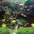 thumbnail image 1 of COSMOBETTY 2Ud Acuario Planta Artificial Plástica Para De Arena, 1 of 6
