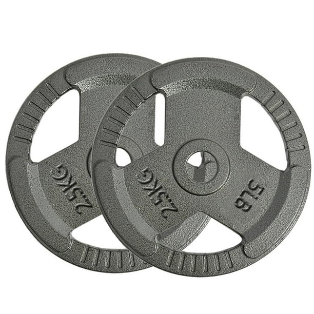 Sunvit Barbell Standard Cast Iron Weight PlateWeight Lifting Plates,2.