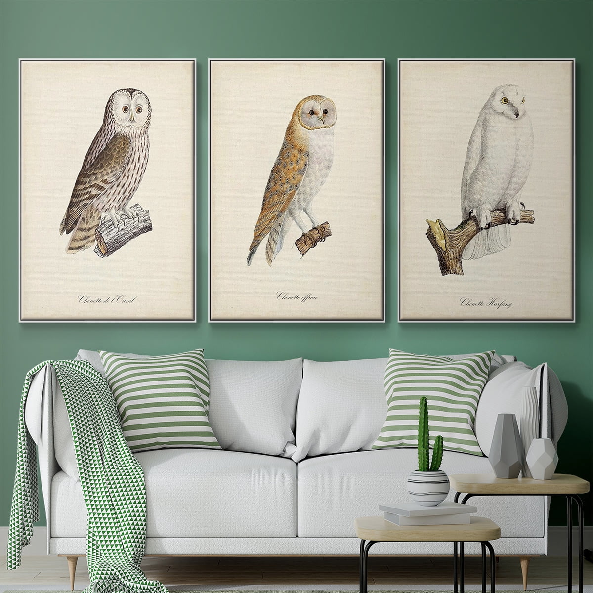 French Owls IV - Framed Premium Gallery Wrapped Canvas L Frame 3 Piece Set - Ready to Hang