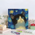 thumbnail image 1 of DIY Cat in the Starry Night Art Set with Frame,, 1 of 1