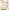 Champagne Gold, variant on Dalrosia Holographic Paper Garland Shiny Iridescent Circle Dots Party Streamer Banner Backdrop Hanging Decorations, 13FT in Total