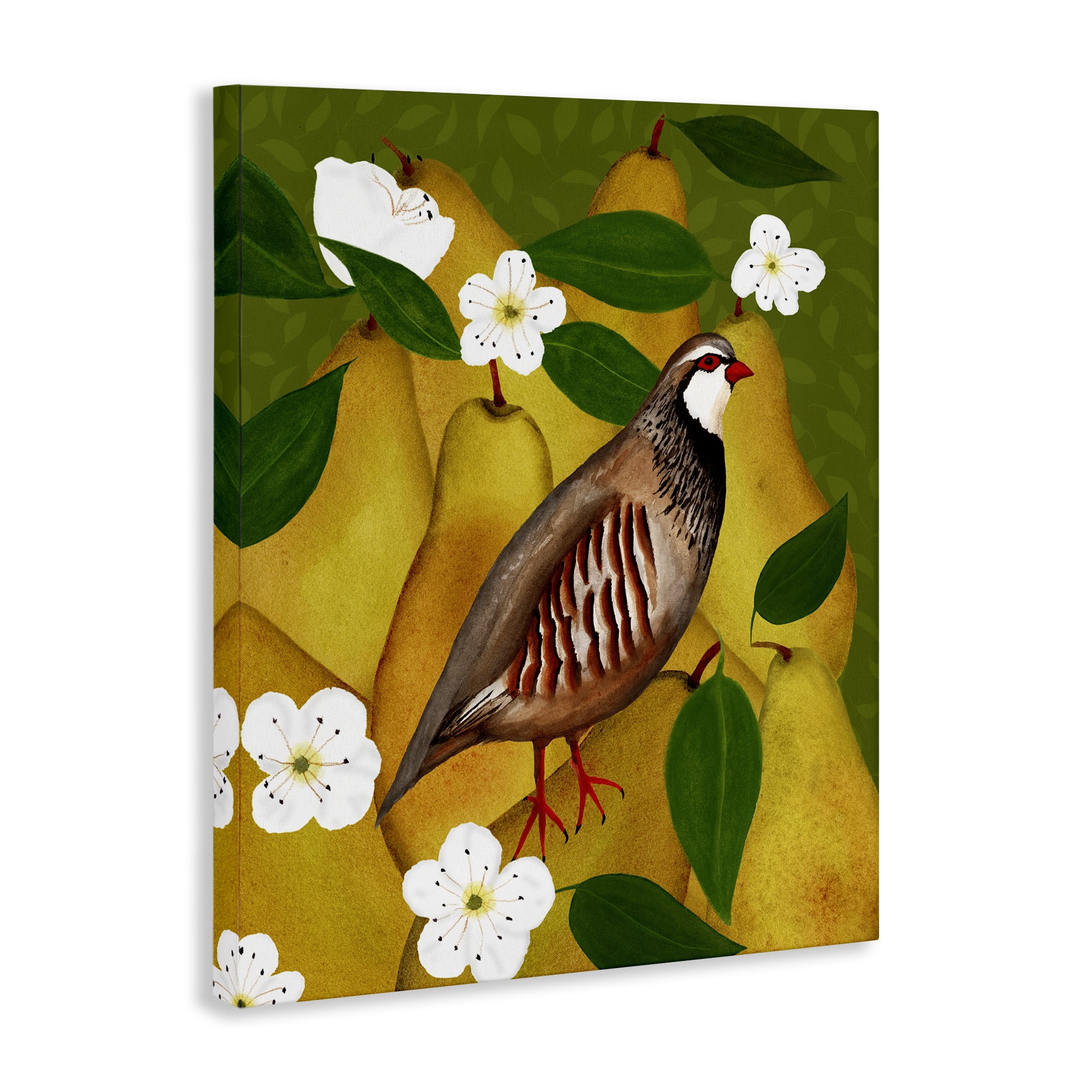 Stupell Industries Partridge Bird & Pears Food & Beverage Painting Wrapped Canvas Art Print Wall Art, 24 x 30