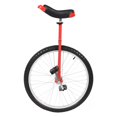 thumbnail image 1 of Monociclo DYNAMI de 24 pulgadas para adultos, deportes al aire libre, 1 of 9