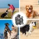 thumbnail image 5 of Cadenas Para Perros Correas Para Perros Medianos Correas De, 5 of 8