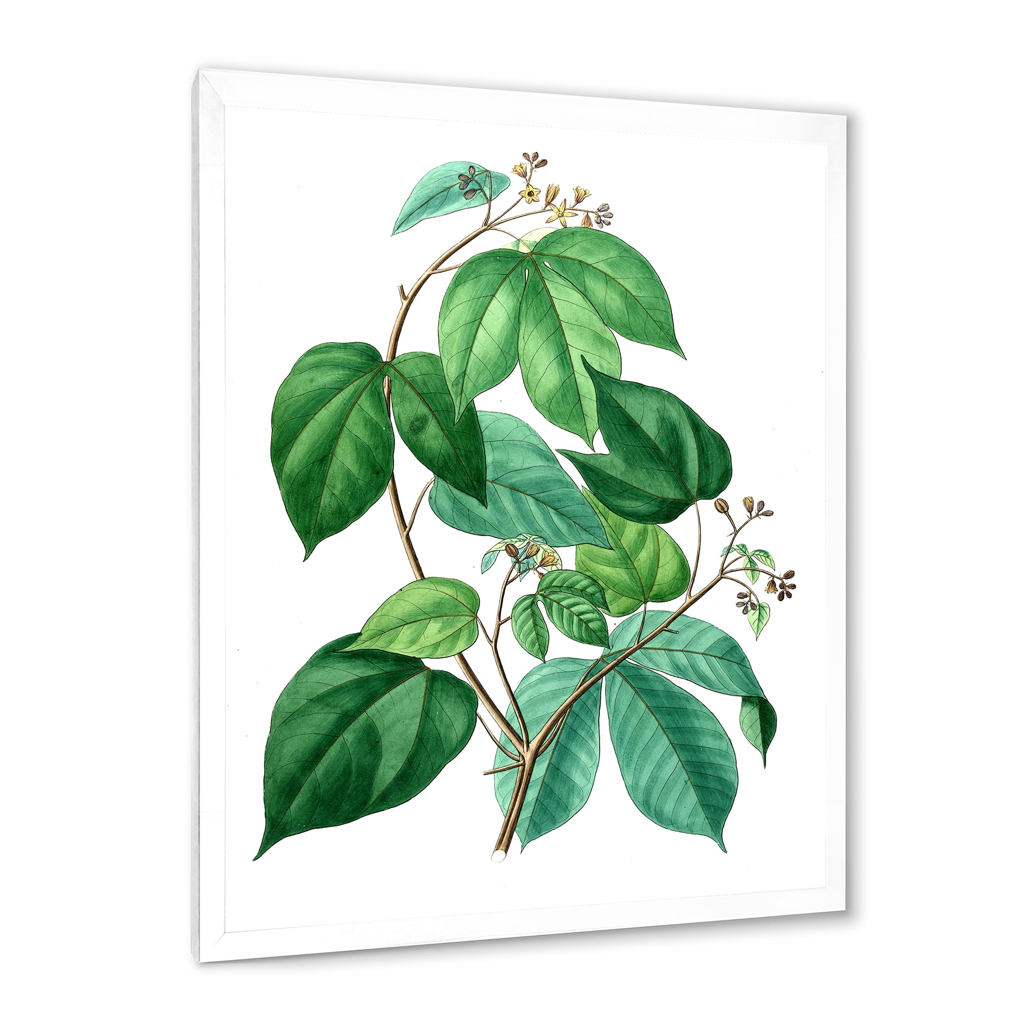 Designart 'Ancient Green Leaves Plants III' Traditional Framed Art Print