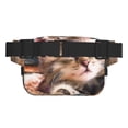 thumbnail image 3 of Disketp Playful Cat Riñonera de Doble Capa, Bolsa de Cintura Ajustable para Viajes, Correr y Senderismo, Riñonera Ligera para Hombre y Mujer, 3 of 9