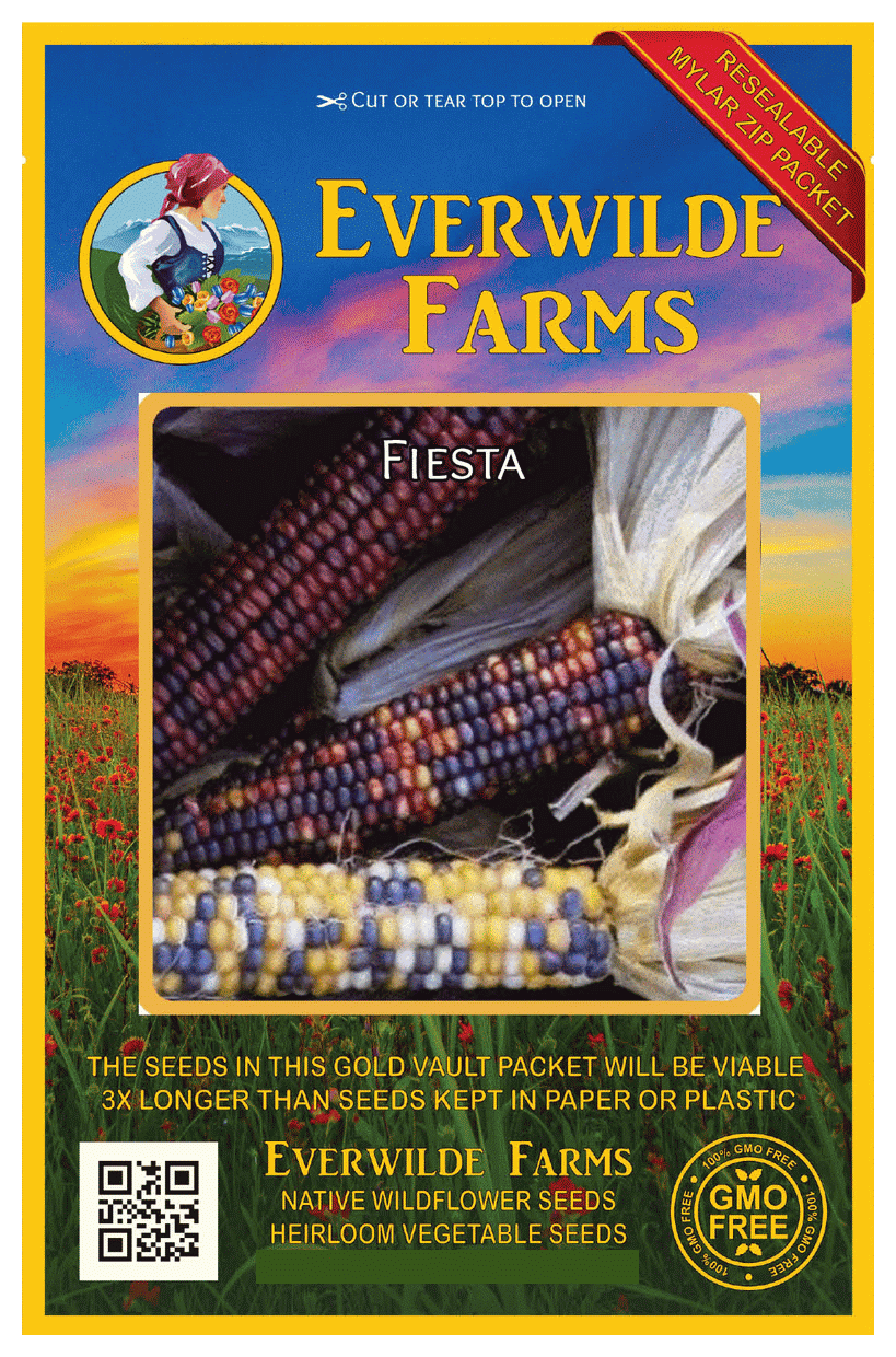 Everwilde Farms 100 Fiesta Ornamental Corn Seeds Gold Vault Jumbo Bulk Seed Packet Walmart Com Walmart Com