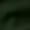 Military Green, variant on This Is My Dog Walking T-Shirt, Dog Walker, Black T-Shirt, Medium