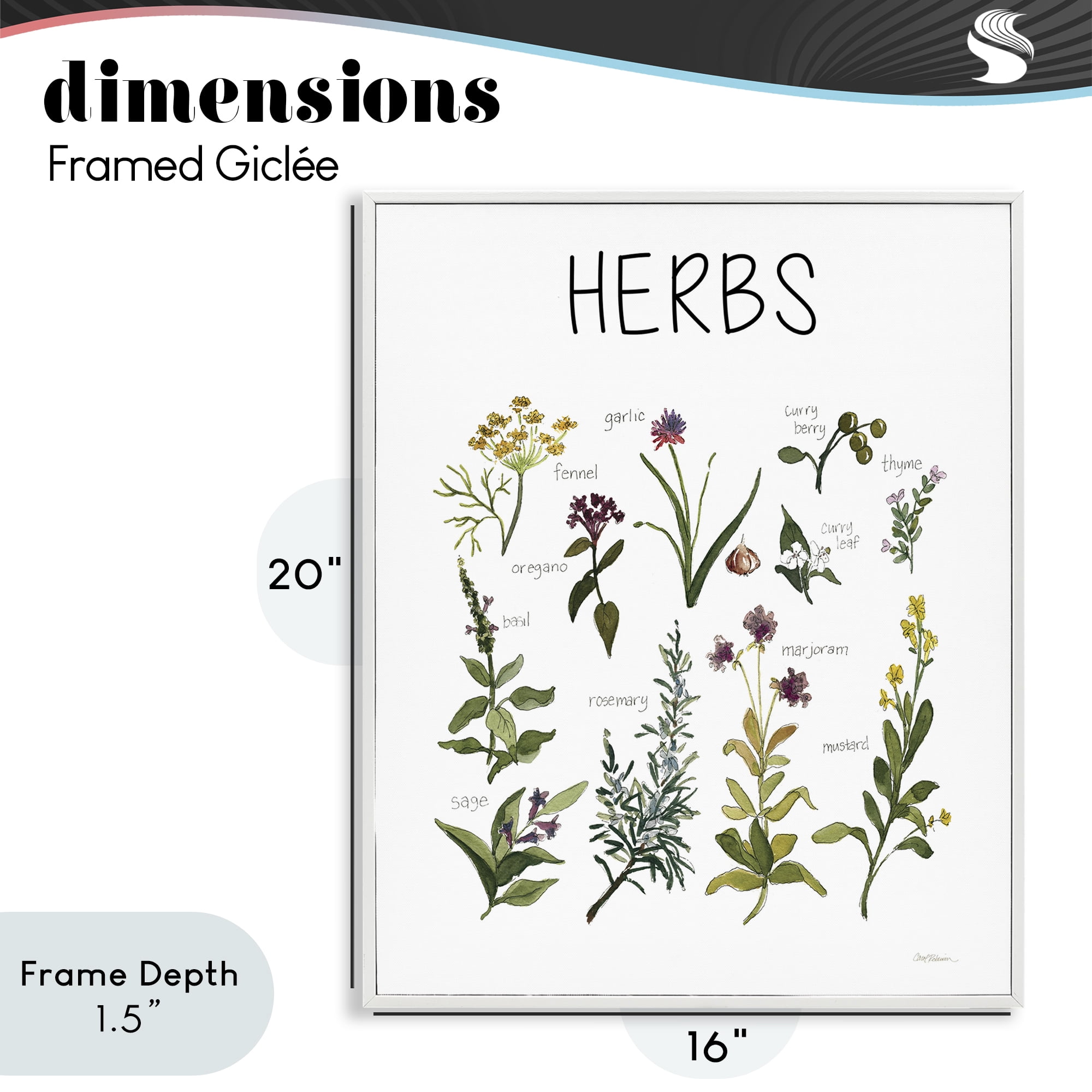 Stupell Industries Herbs Identification Chart White Framed Giclee Art, design by Carol Robinson