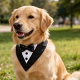 thumbnail image 1 of MERRYHAPY 1 De Sombrero Y Bandana Para Perro En Tuxedo Negro Formal Para Fiestas Y Bodas, 1 of 7