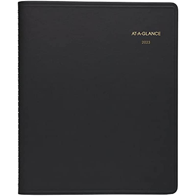 ATAGLANCE 2023 Daily Planner, Hourly Appointment Book, 81/2" x 11