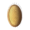 thumbnail image 2 of Fiudx Liquidación de ahorros de verano Cepillo marrón, cepillo de masaje con agujas de acero, cepillo de madera para cuero cabelludo, cepillo desenredante para mujeres, diseño sin mango, 2 of 4