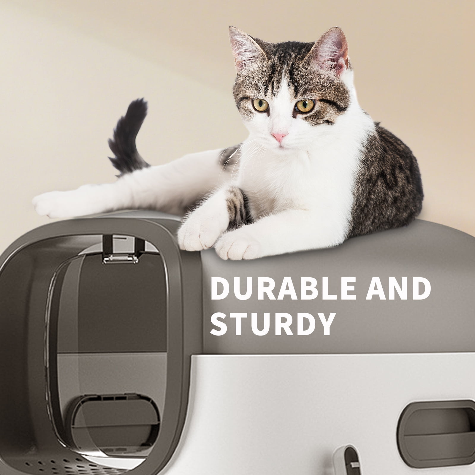 Open Top Transparent Cat Litter Box, Large Capacity Easy Access Kitty Litter Pan with Litter Scoop, Modern Stylish Ventilated Pet Toilet Durable Safe for Indoor Cats