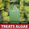 thumbnail image 5 of The Pond Guy InstaFix Algae Control, Outdoor Water Garden, Fountain & Birdbath Algae Solution, EPA Registered Liquid Algaecide, Control Green Water & String Algae, Bird, Fish & Pet Safe, 1 Gallon, 5 of 9