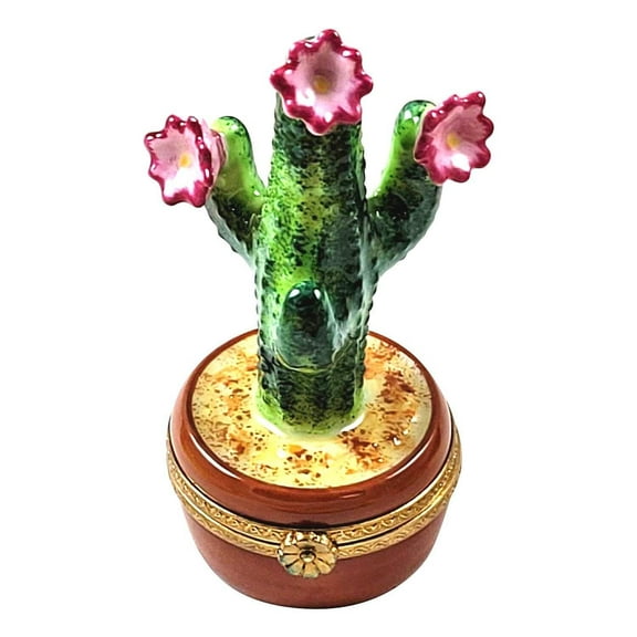 Flowering Cactus in Pot Limoges Box for Plant Lovers Limoges Box Porcelain Figurine