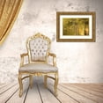 thumbnail image 3 of Paulson, Don 14x11 Gold Ornate Wood Framed with Double Matting Museum Art Print Titled - OR, Rogue River NF Vine maple over Rogue River, 3 of 4