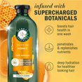 thumbnail image 2 of Revitalisant sans sulfate Hydrate et restaure au miel, 400 mL, 2 of 14