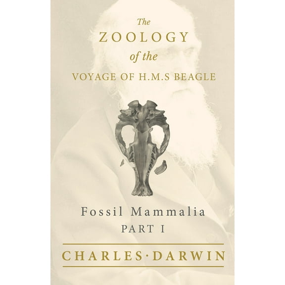 Fossil Mammalia - Part I - The Zoology of the Voyage of H.M.S Beagle; Under the Command of Captain Fitzroy - During the , (Paperback)