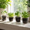 thumbnail image 6 of Clear Plastic Nursery Pot 4in with Drainage Holes Transparent Seedling Cup for Garden Yard Plant Growing, 6 of 6