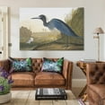 thumbnail image 3 of American Bird Artists John James Audubon Little Blue Heron Poster Art Poster Canvas Painting Decor Wall Print Photo Gifts Home Modern Decorative Posters 24x36inch(60x90cm), 3 of 6