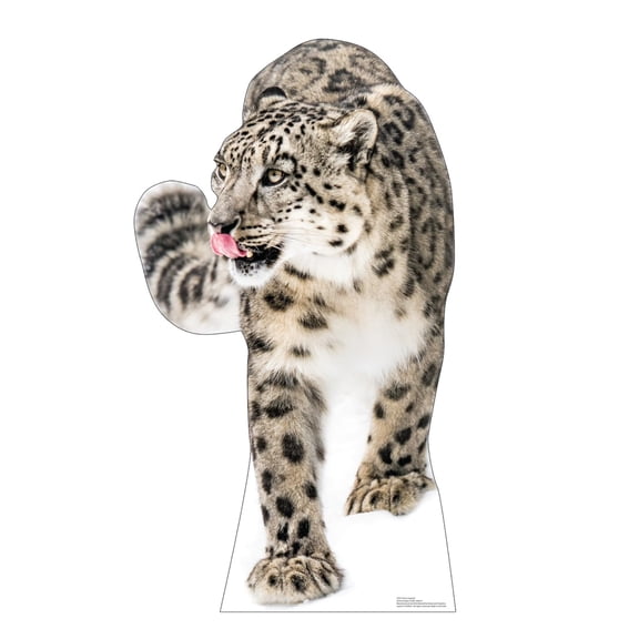 Cardboard People Snow Leopard Life Size Cardboard Cutout Standup - Made in USA