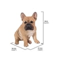 thumbnail image 5 of 15.75" Squatting French Bulldog Outdoor Garden Statue, 5 of 6