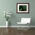 thumbnail image 4 of Trademark Fine Art "Butterflies" Canvas Art by Kurt Shaffer, White Matte, Wood Frame, 4 of 5